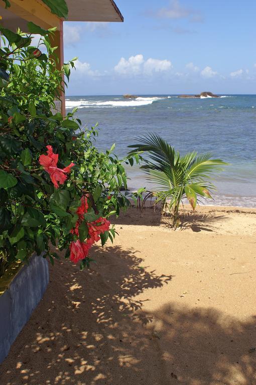 Veranda View Guesthouse Calibishie Екстер'єр фото